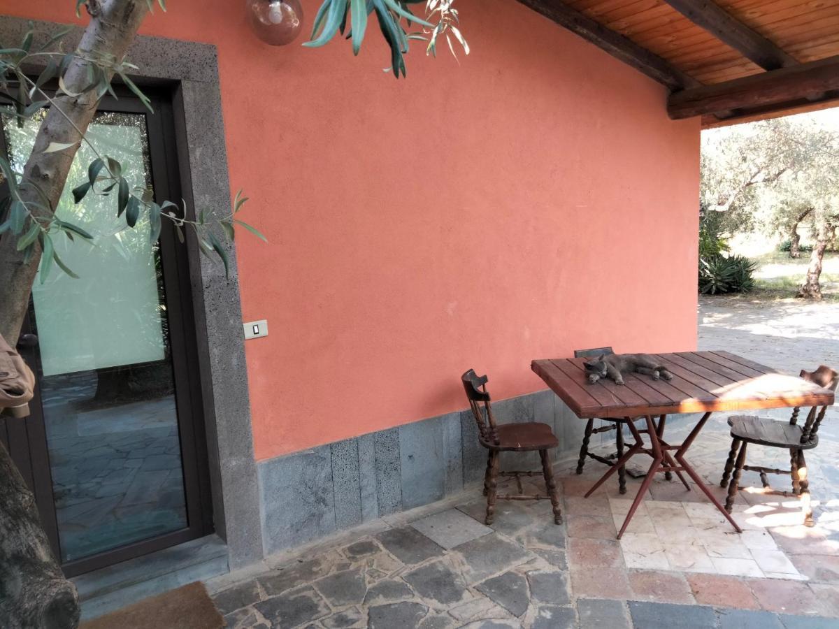 Cuntarati Nature Tourism - Simeto Etna Бронте Экстерьер фото