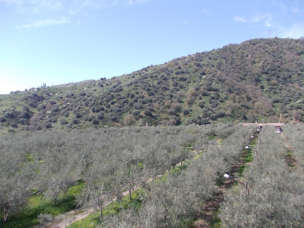 Cuntarati Nature Tourism - Simeto Etna Бронте Экстерьер фото