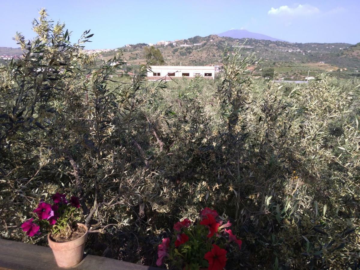 Cuntarati Nature Tourism - Simeto Etna Бронте Экстерьер фото
